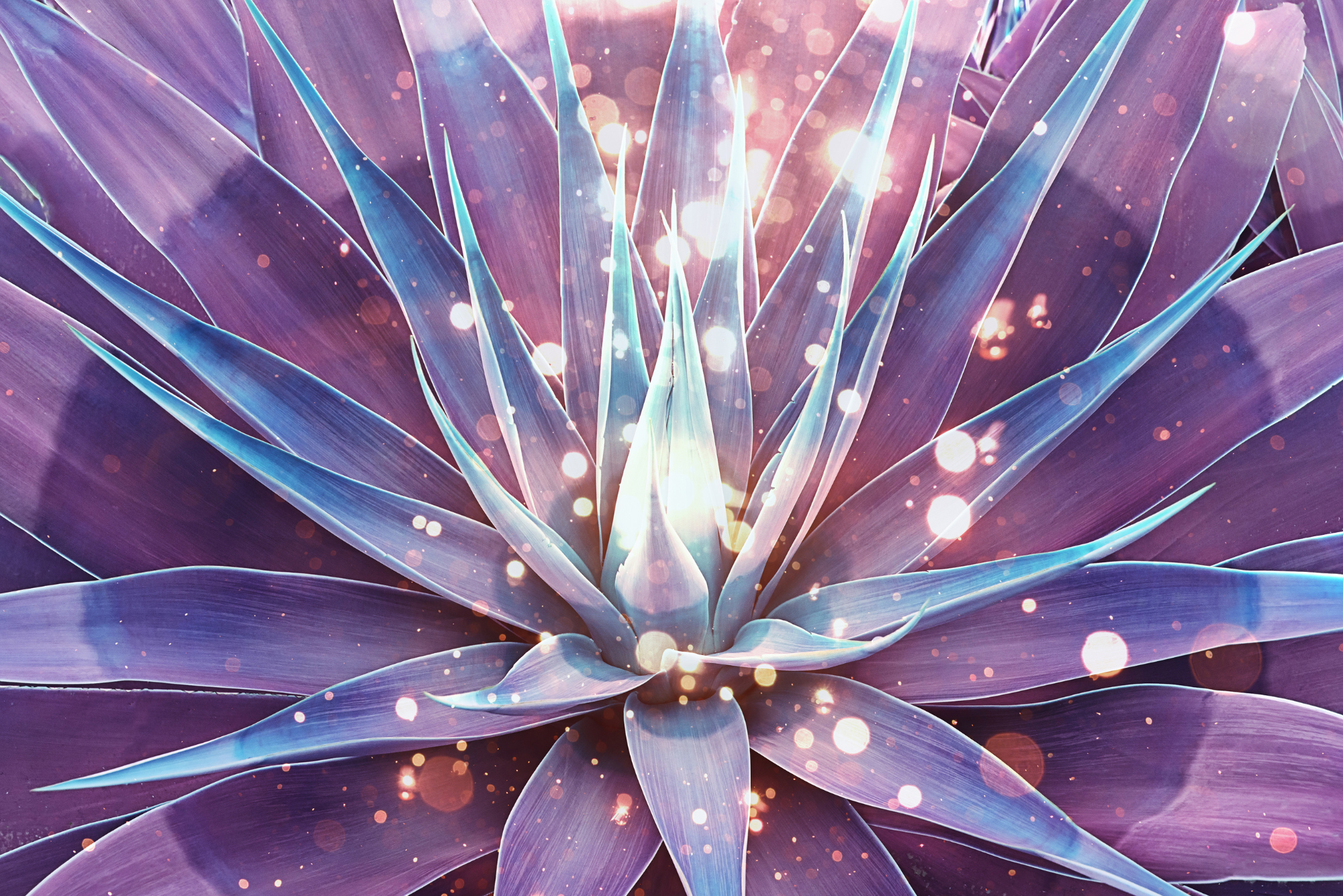 Untitled design - 2025-12-12T203204.311